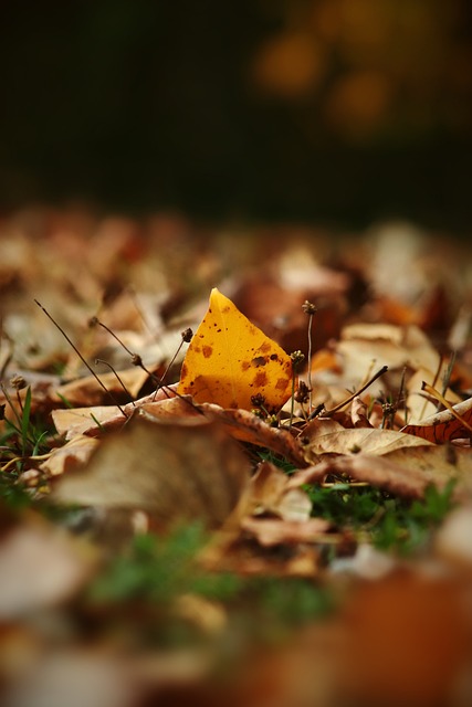 术上并不占 术上并不占