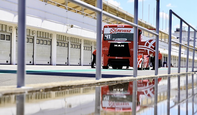 让观众大饱 让观众大饱