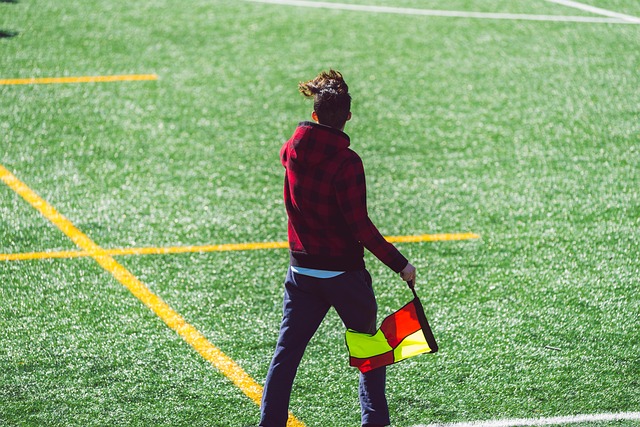 也激发了国 也激发了国