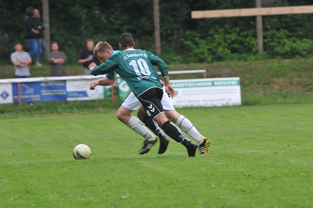 虚拟体育逐 虚拟体育逐