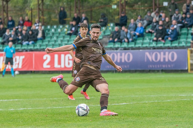 优势与隐患 优势与隐患