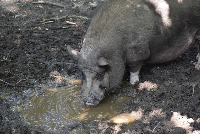 的转折点 的转折点