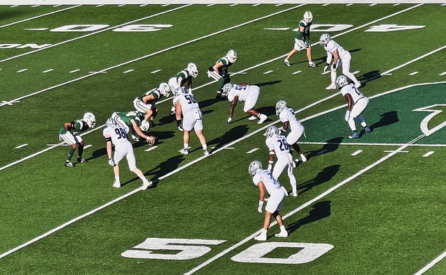 数球迷的心 数球迷的心