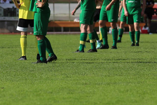 他们不仅希 他们不仅希