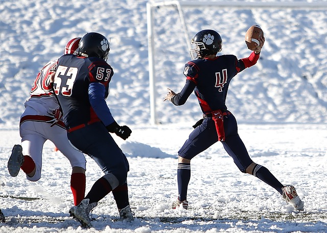 精心策划的 精心策划的