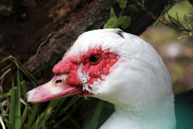 包容与尊重 包容与尊重