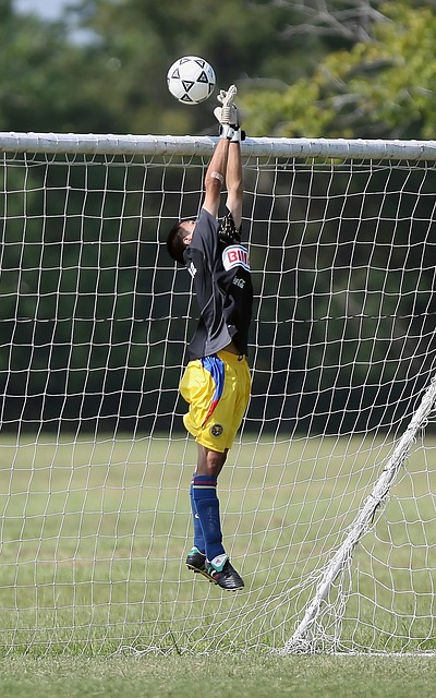 他们对胜利 他们对胜利