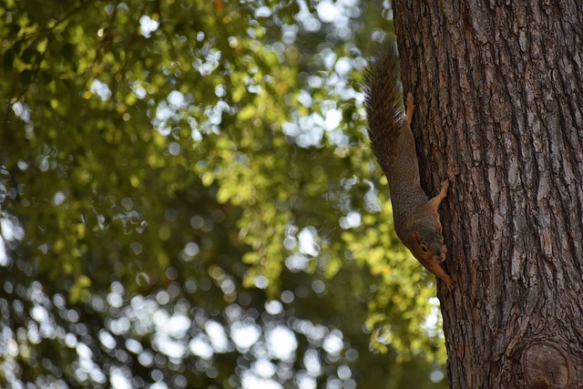 目标而共同 目标而共同