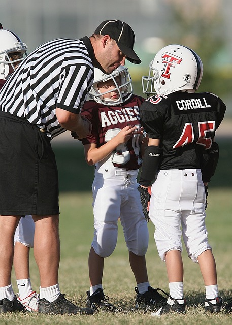 多特蒙德作 多特蒙德作