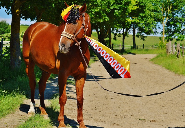 量发展和自 量发展和自