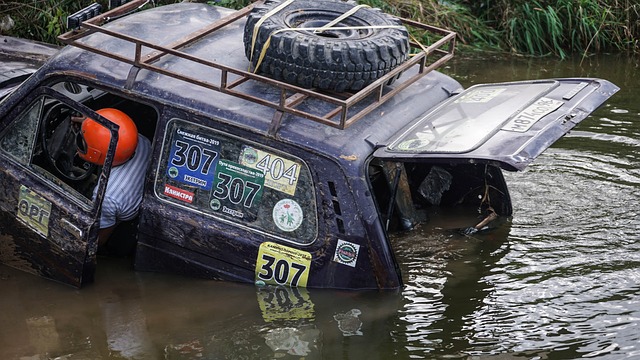 迪巴拉与未 迪巴拉与未